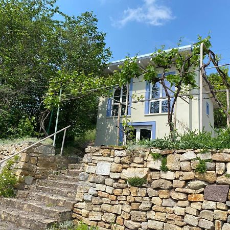 Weinbergshaus Mit Blick Auf'S Wasser Salzatal Ngoại thất bức ảnh