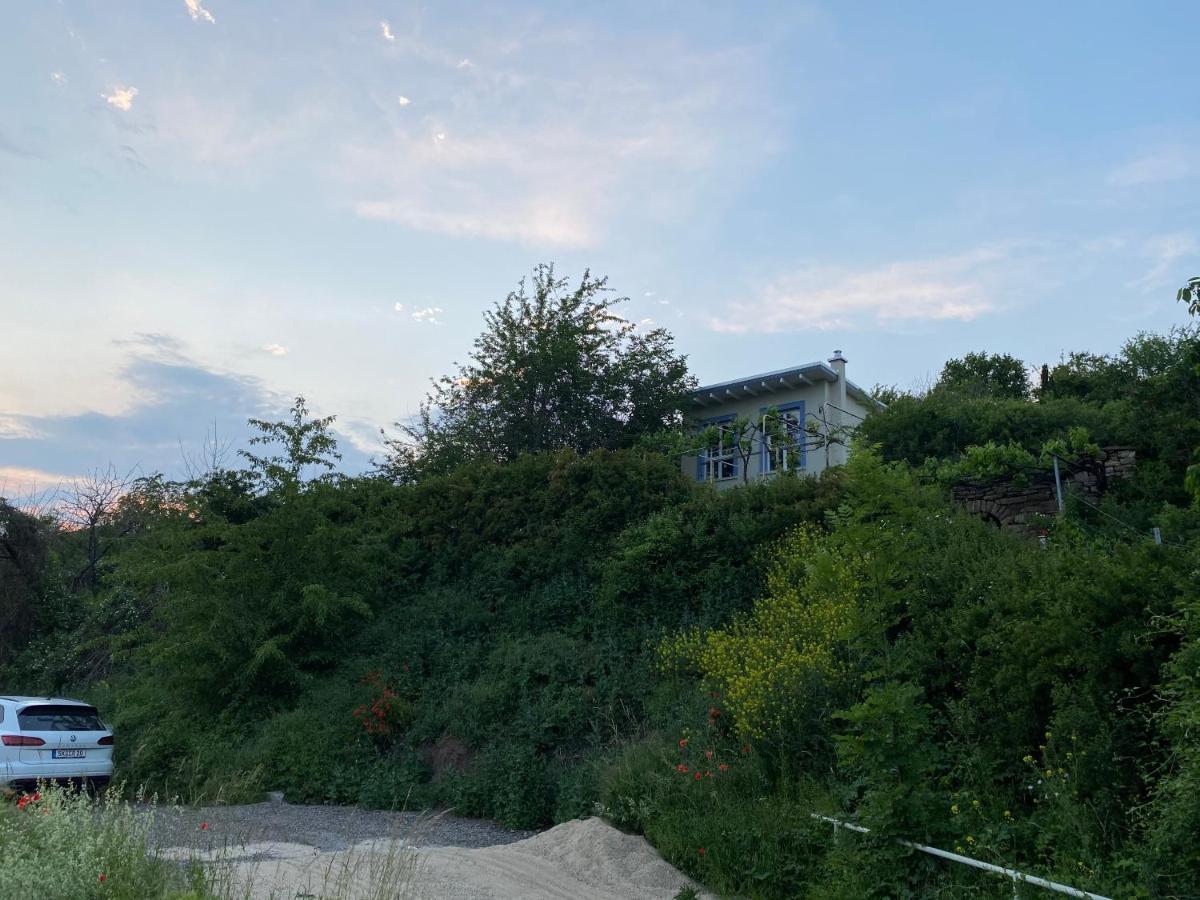 Weinbergshaus Mit Blick Auf'S Wasser Salzatal Ngoại thất bức ảnh