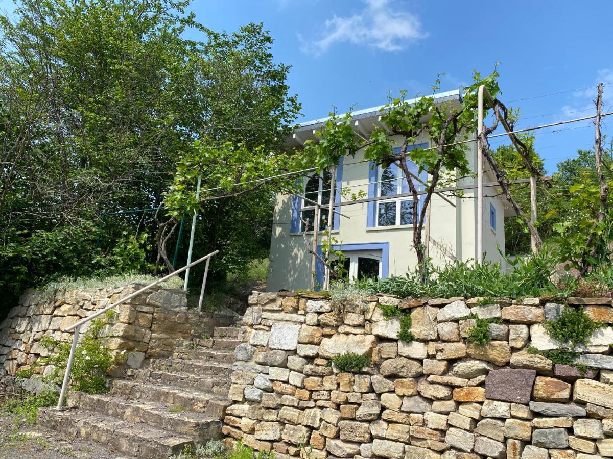 Weinbergshaus Mit Blick Auf'S Wasser Salzatal Ngoại thất bức ảnh